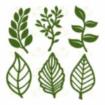 leafsvg