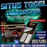 DAFTAR SITUS TOGEL TERPERCAYA DAN TERBAIK SHIOWLA