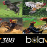 BOLAVITA Situs Resmi Wala Meron Online SV388 Live 24Jam Terpercaya 2023