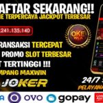 BO SITUS SLOT ONLINE TERPERCAYA DAN RTP TERTINGGI
